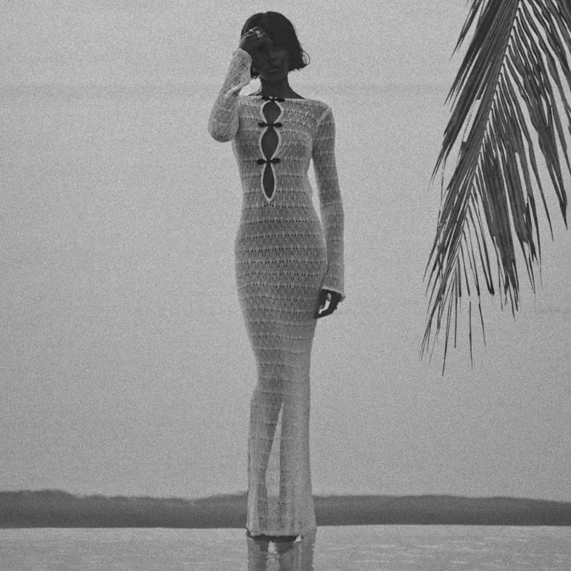 Talenza Sheer Maxi Dress – ELENA